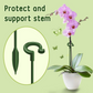 ⏰49% Off 3 Days To Go🌱Plant Support Stake(10PCS)