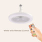 🎁Remote Control Aromatherapy Ceiling Fan with Light
