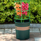 Detachable Plant Frame Support Stakes for Flowers and Fruits