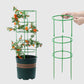 Detachable Plant Frame Support Stakes for Flowers and Fruits
