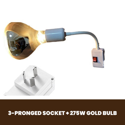 High Power Bath Light Socket with Switch