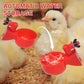 Eco-Friendly Poultry Automatic Poultry Waterer