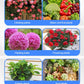 Universal nutrient solution for flowering potted plants